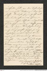 Nachlass Franz Steindachner, Brief von Wilhelm Höfler an Franz Steindachner (08.06.1881), Inv.Nr. 229.02, Seite 4